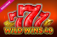 Wild Wins 40